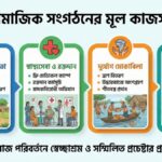 সামাজিক সংগঠনের কাজ কি